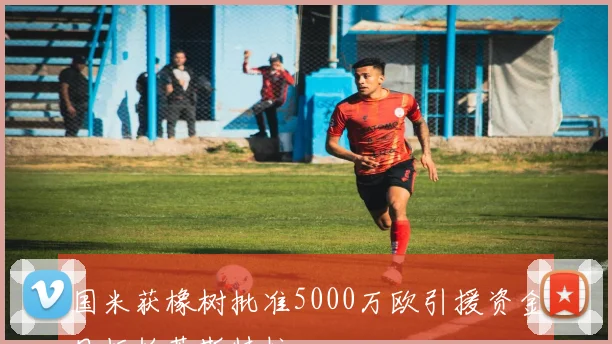 国米获橡树批准5000万欧引援资金目标帕莱斯特拉