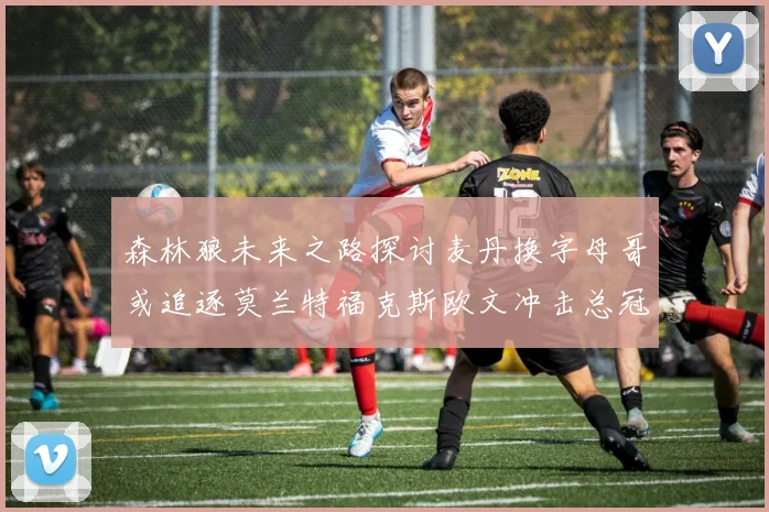 森林狼未来之路探讨麦丹换字母哥或追逐莫兰特福克斯欧文冲击总冠军